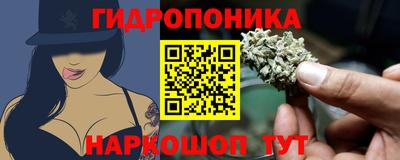 дурь Гусев
